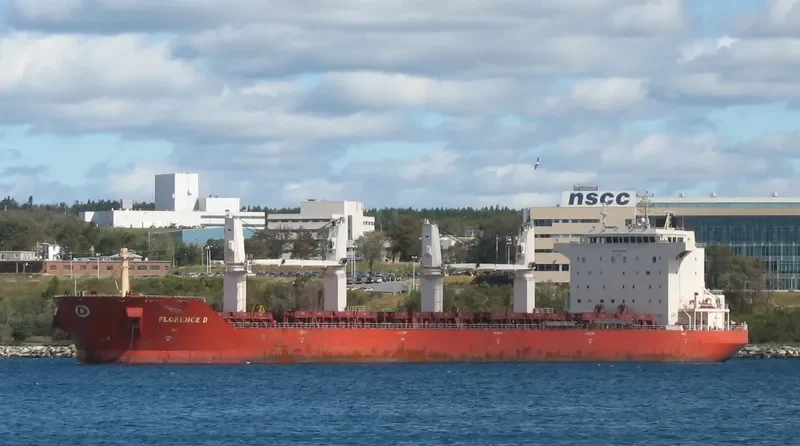 ARCHAGELOS MICHAEL Bulk Carrier IMO 9330630 photo 7