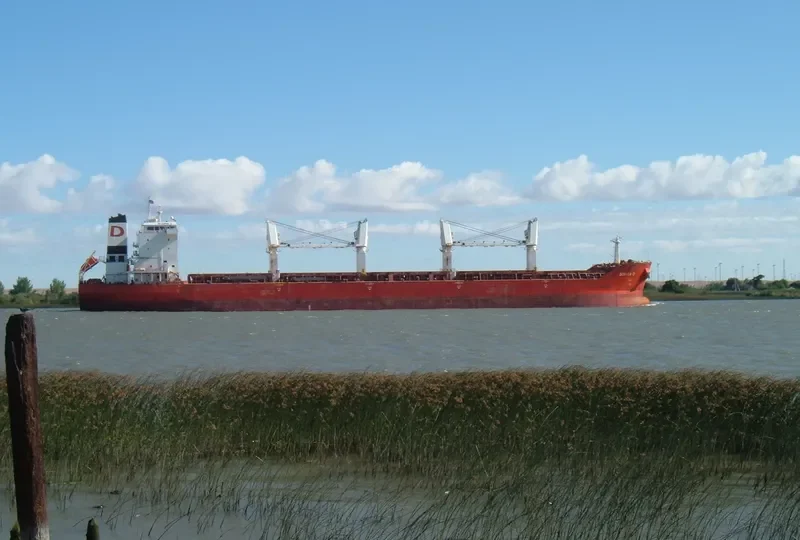 ENDEAVOR Bulk Carrier IMO 9330642 photo 11