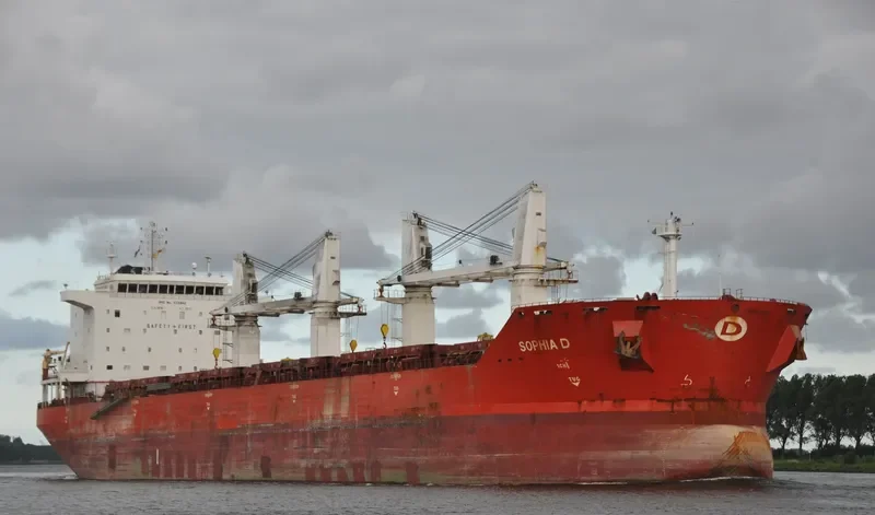 ENDEAVOR Bulk Carrier IMO 9330642 photo 20