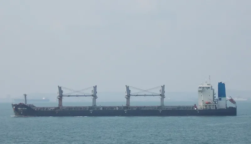 BLUE DIAMOND Bulk Carrier IMO 9330654