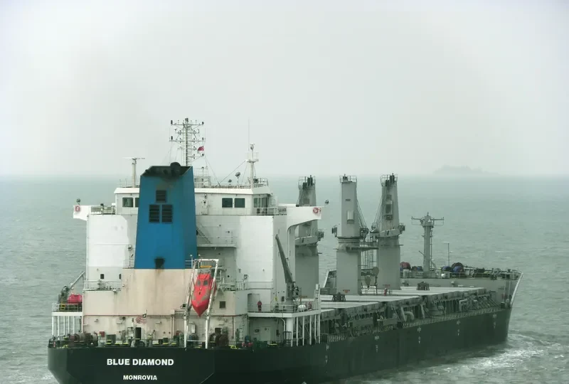 BLUE DIAMOND Bulk Carrier IMO 9330654 photo 3