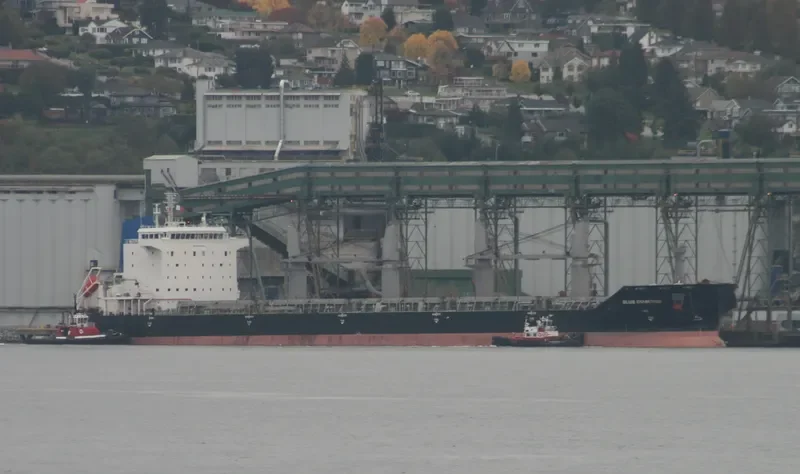 BLUE DIAMOND Bulk Carrier IMO 9330654 photo 4