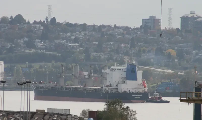 BLUE DIAMOND Bulk Carrier IMO 9330654 photo 5