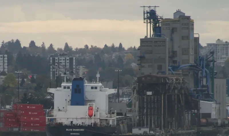 BLUE DIAMOND Bulk Carrier IMO 9330654 photo 6
