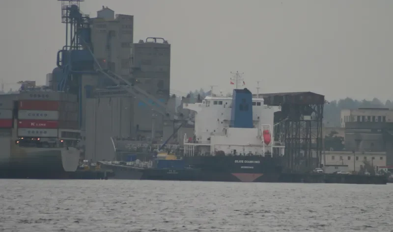 BLUE DIAMOND Bulk Carrier IMO 9330654 photo 7