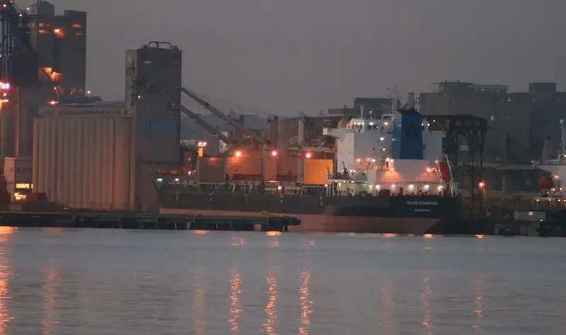 BLUE DIAMOND Bulk Carrier IMO 9330654 photo 8