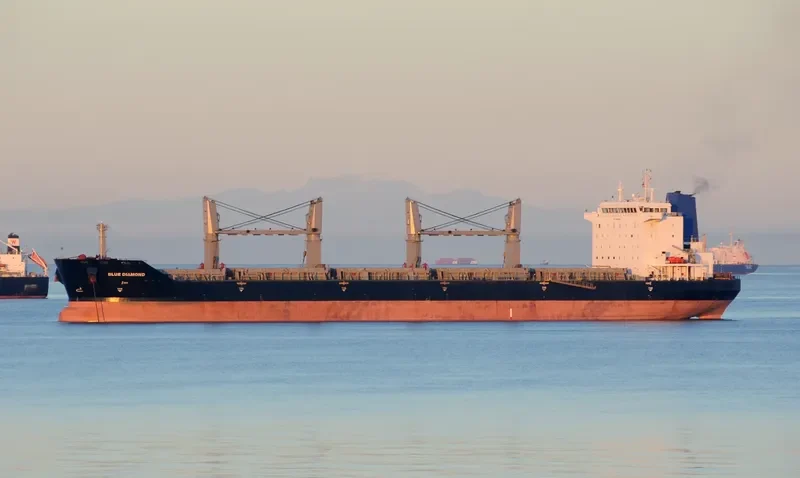 BLUE DIAMOND Bulk Carrier IMO 9330654 photo 9