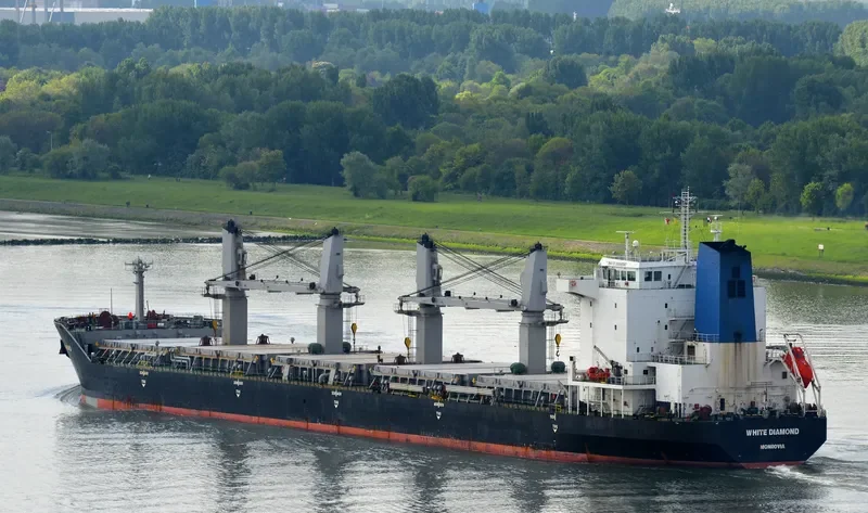 YUAN TENG Bulk Carrier IMO 9330666