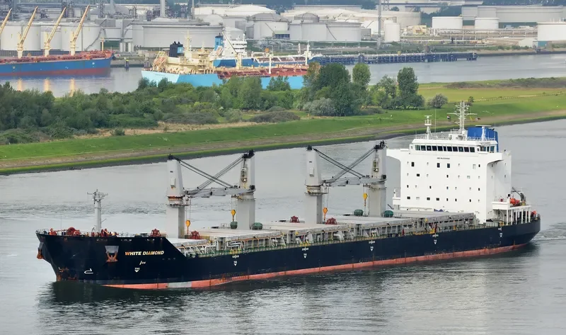 YUAN TENG Bulk Carrier IMO 9330666 photo 2