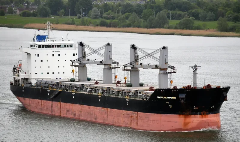 YUAN TENG Bulk Carrier IMO 9330666 photo 4