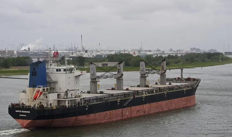 YUAN TENG Bulk Carrier IMO 9330666 photo 7