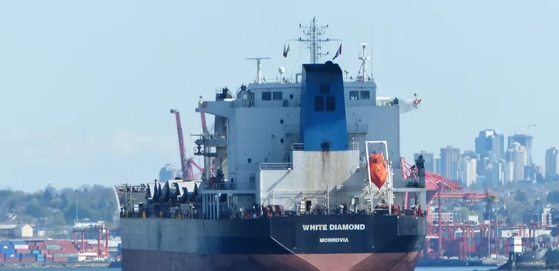 YUAN TENG Bulk Carrier IMO 9330666 photo 8