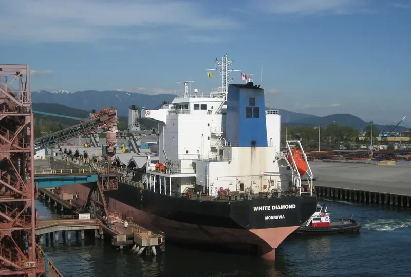 YUAN TENG Bulk Carrier IMO 9330666 photo 9
