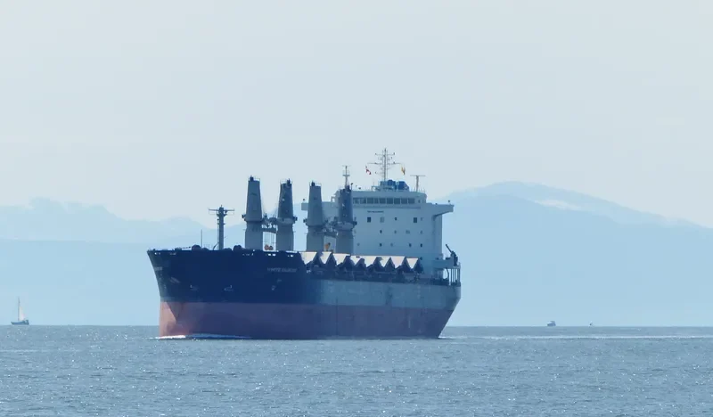YUAN TENG Bulk Carrier IMO 9330666 photo 10