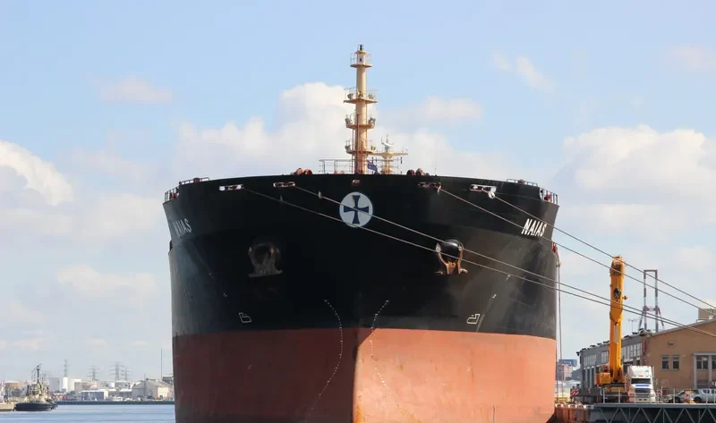 PORTO LIMNIONI Bulk Carrier IMO 9330800