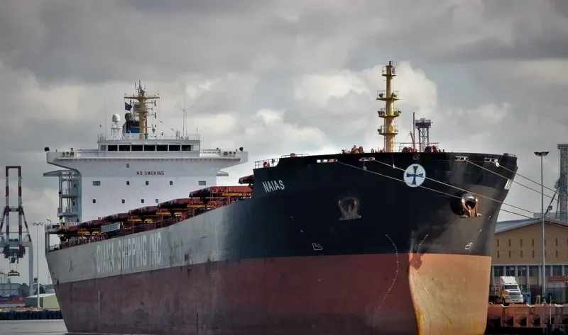PORTO LIMNIONI Bulk Carrier IMO 9330800 photo 2