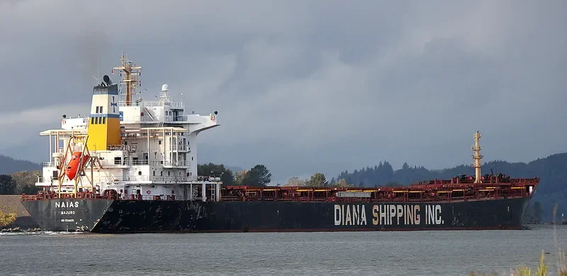 PORTO LIMNIONI Bulk Carrier IMO 9330800 photo 3