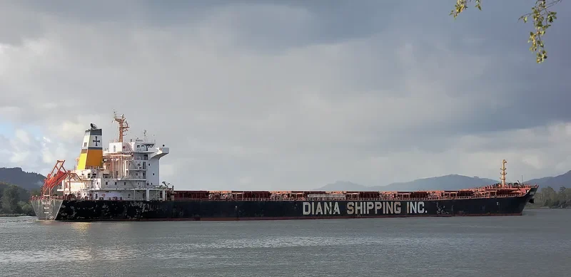 PORTO LIMNIONI Bulk Carrier IMO 9330800 photo 4