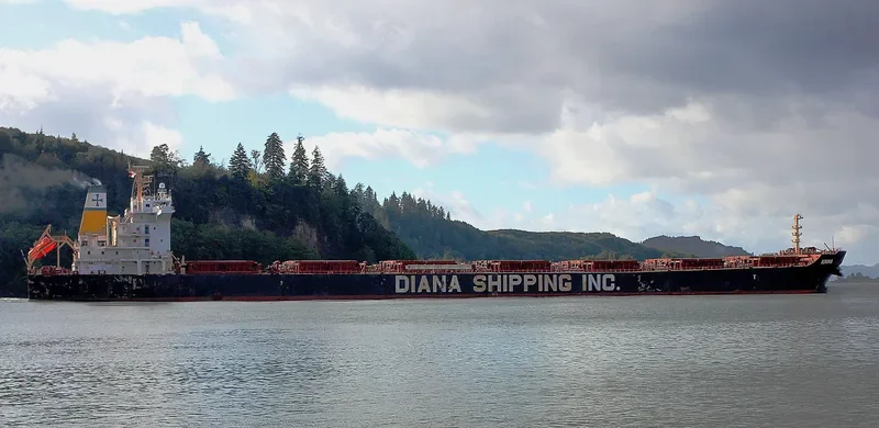 PORTO LIMNIONI Bulk Carrier IMO 9330800 photo 5