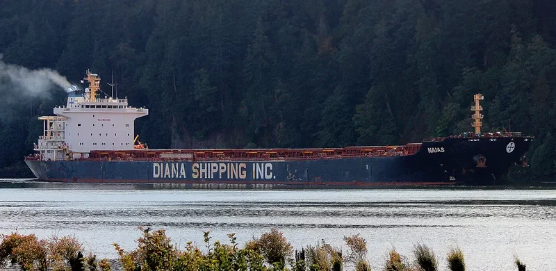 PORTO LIMNIONI Bulk Carrier IMO 9330800 photo 6
