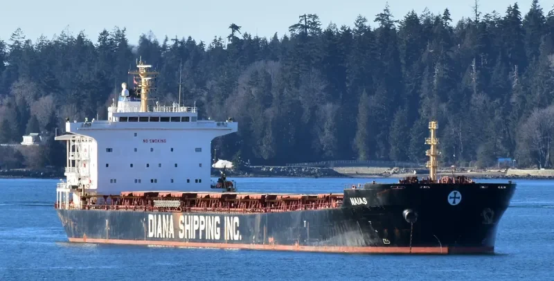 PORTO LIMNIONI Bulk Carrier IMO 9330800 photo 7