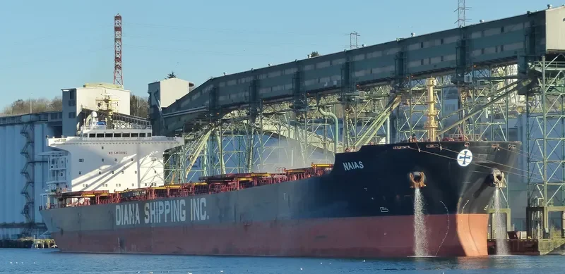 PORTO LIMNIONI Bulk Carrier IMO 9330800 photo 8