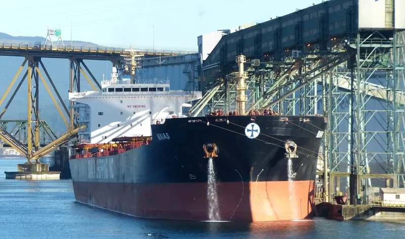 PORTO LIMNIONI Bulk Carrier IMO 9330800 photo 9