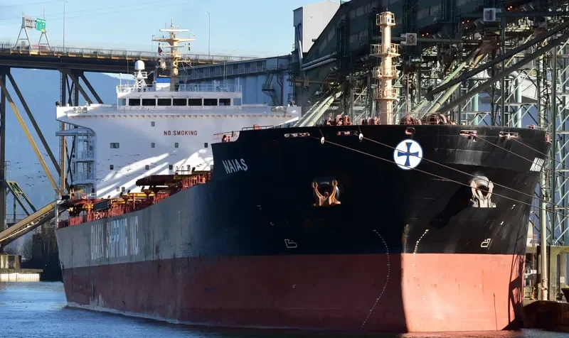 PORTO LIMNIONI Bulk Carrier IMO 9330800 photo 10