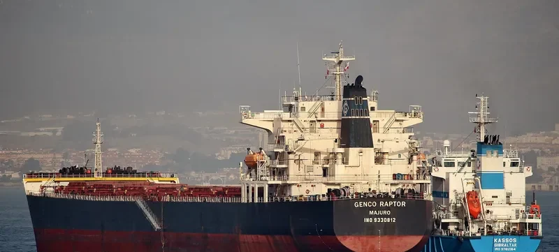W RAPTOR Bulk Carrier IMO 9330812