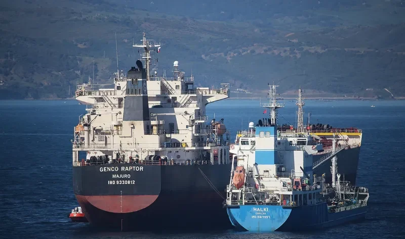 W RAPTOR Bulk Carrier IMO 9330812 photo 2