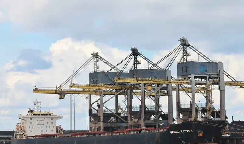 W RAPTOR Bulk Carrier IMO 9330812 photo 3