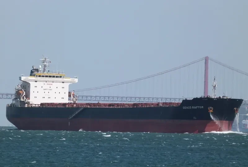 W RAPTOR Bulk Carrier IMO 9330812 photo 8