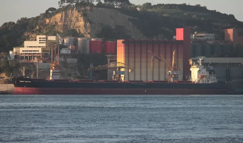 W RAPTOR Bulk Carrier IMO 9330812 photo 9