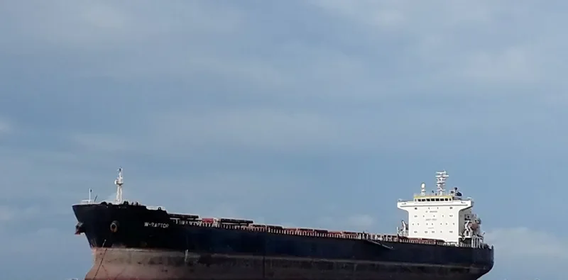 W RAPTOR Bulk Carrier IMO 9330812 photo 10