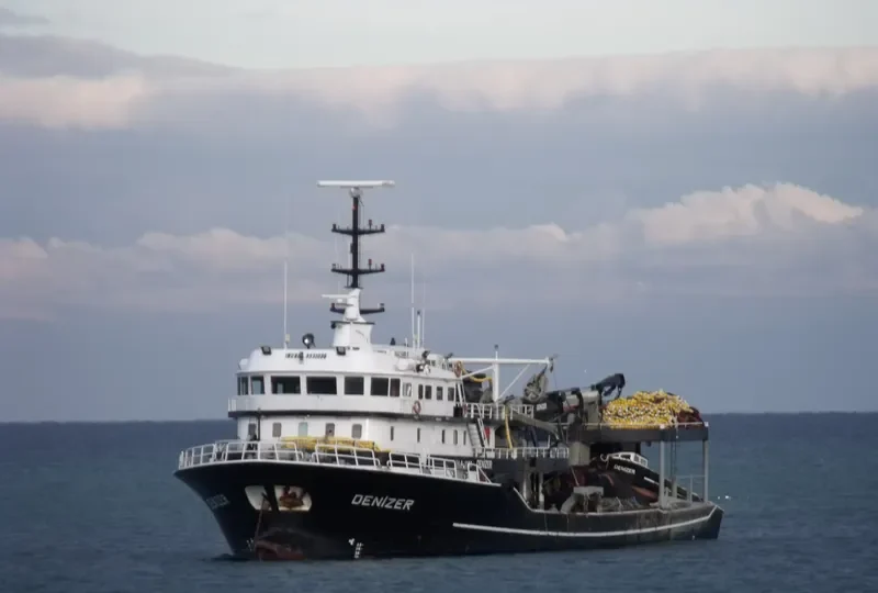 DENIZER General Cargo IMO 9331036 photo 4