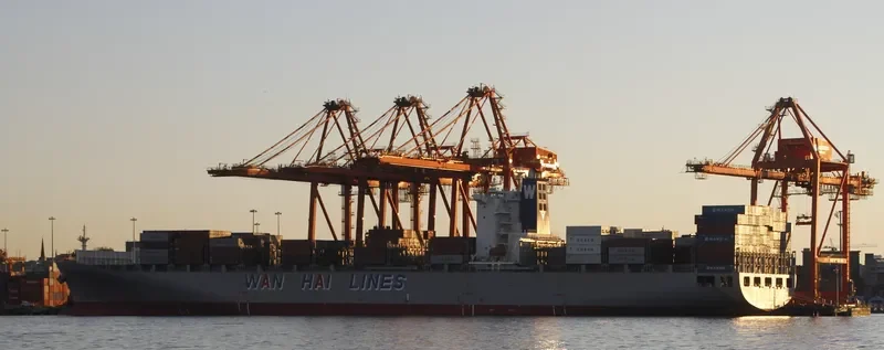 IRENES WAVE Container Ship IMO 9331165 photo 5