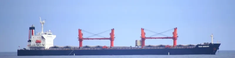 THOR MONADIC Bulk Carrier IMO 9331220 photo 7