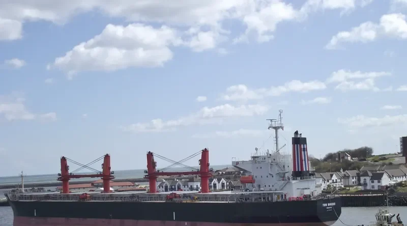THOR MONADIC Bulk Carrier IMO 9331220 photo 10
