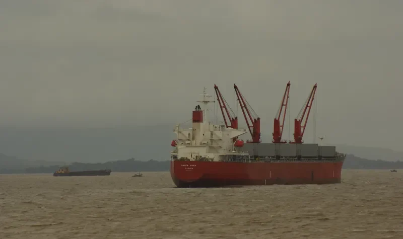 MEGHNA HARMONY Bulk Carrier IMO 9331232