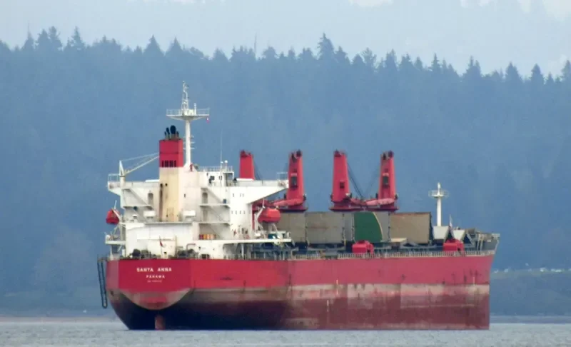 MEGHNA HARMONY Bulk Carrier IMO 9331232 photo 2