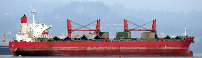 MEGHNA HARMONY Bulk Carrier IMO 9331232 photo 3