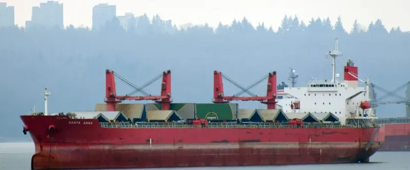 MEGHNA HARMONY Bulk Carrier IMO 9331232 photo 4
