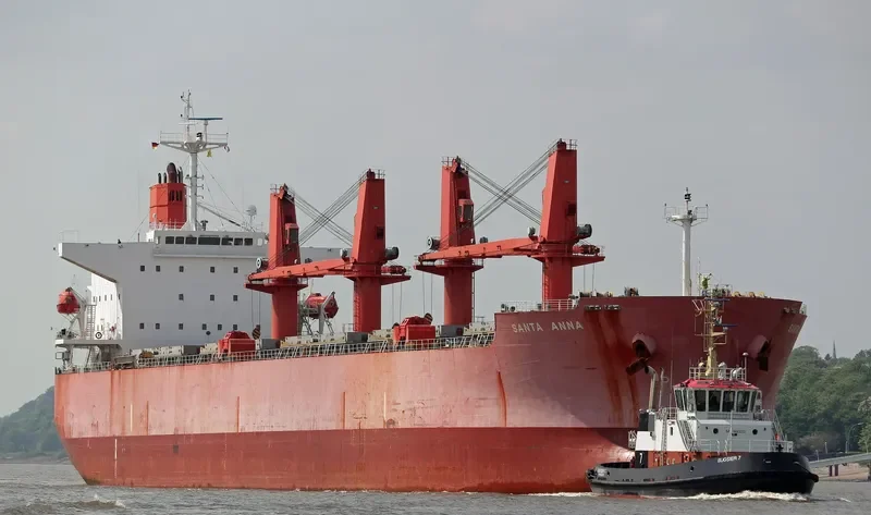 MEGHNA HARMONY Bulk Carrier IMO 9331232 photo 8