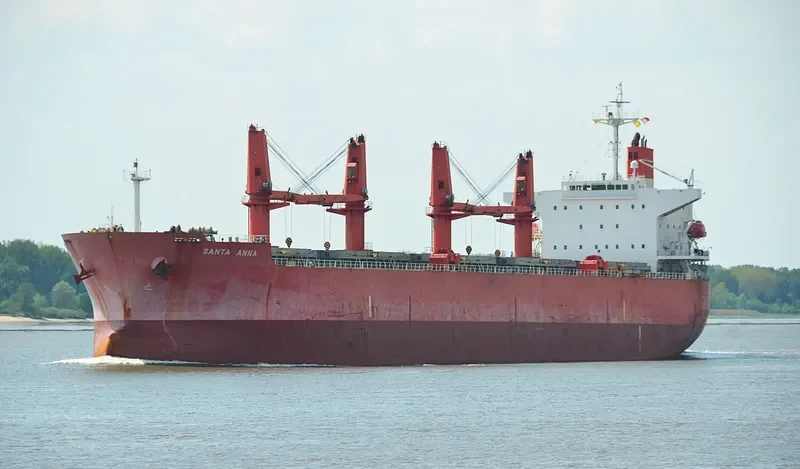 MEGHNA HARMONY Bulk Carrier IMO 9331232 photo 10