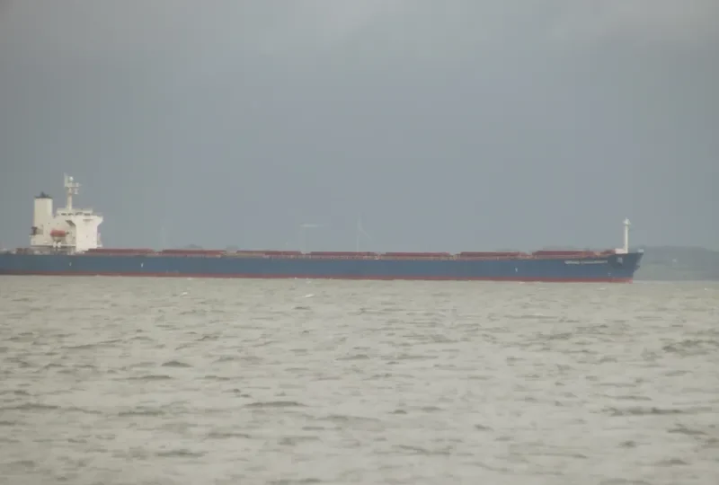 OLYMPIC GEMINI Bulk Carrier IMO 9331397 photo 7