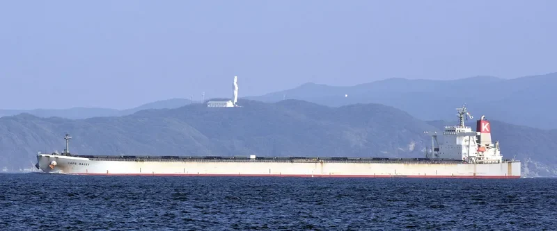 BERGE BIMBERI Bulk Carrier IMO 9331414 photo 3
