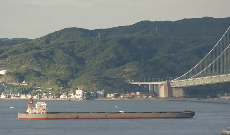BERGE BIMBERI Bulk Carrier IMO 9331414 photo 5