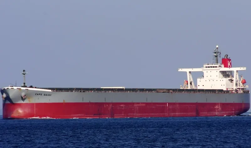 BERGE BIMBERI Bulk Carrier IMO 9331414 photo 7