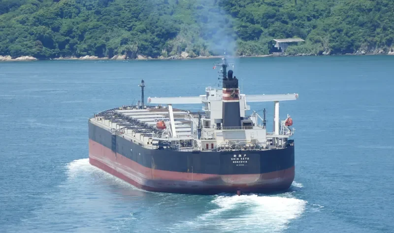 SUNNY MOREBAYA Bulk Carrier IMO 9331426