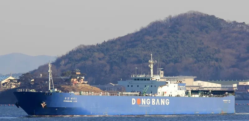 DONGBANG ACE Ro-Ro IMO 9331440 photo 3